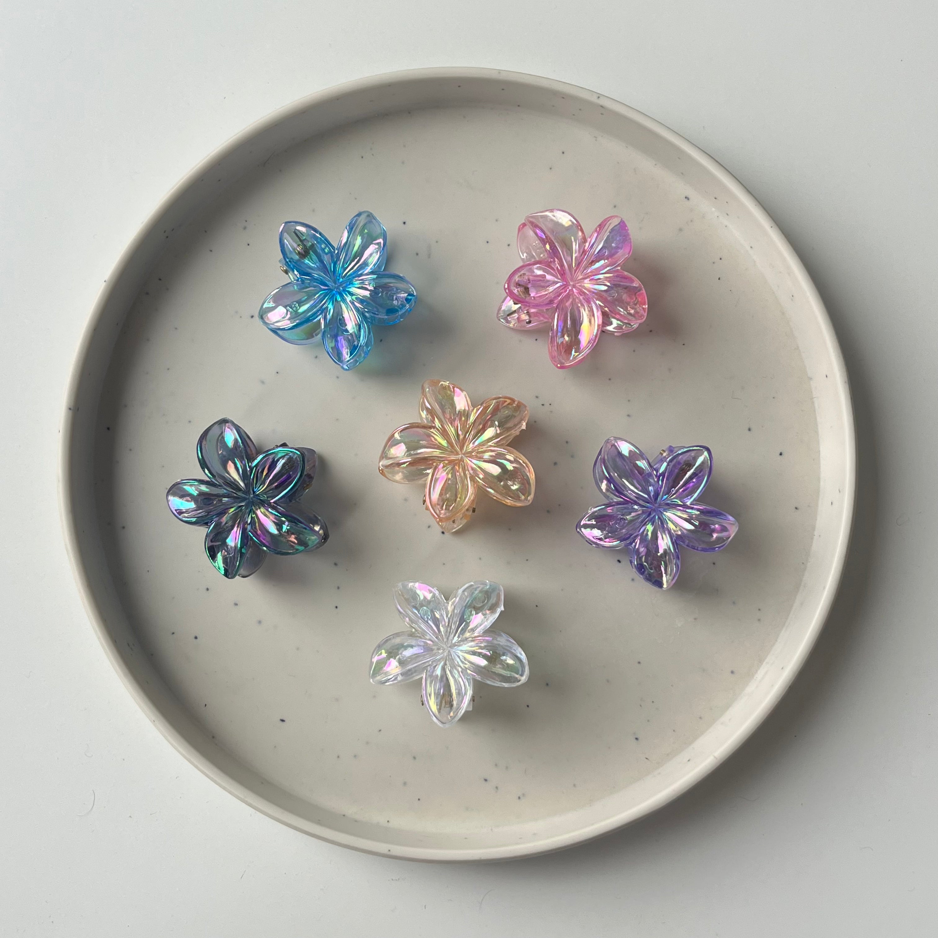 Iridesca Bloom Claw Clip – Small (Vault Set of 6)